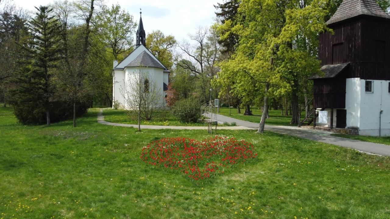 Homestay Poděbrady エクステリア 写真