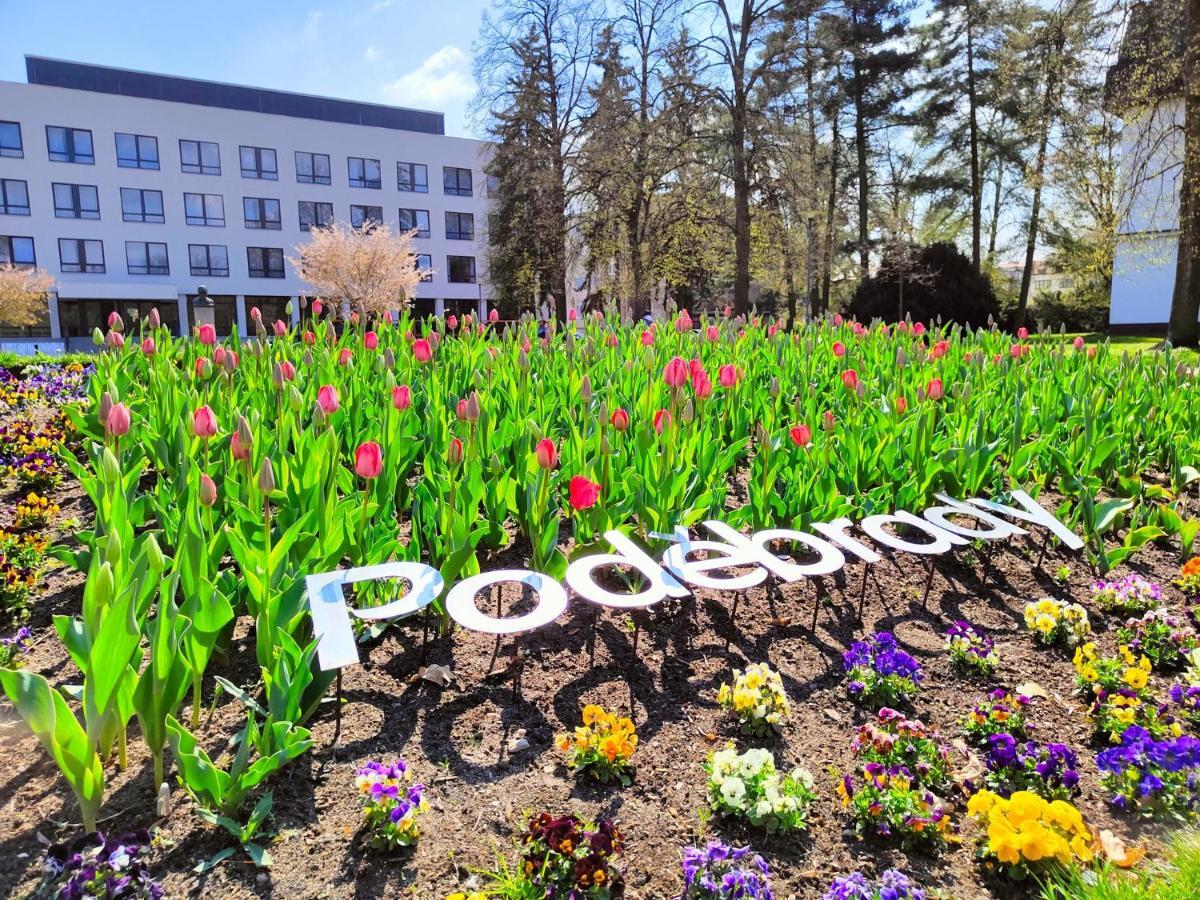 Homestay Poděbrady エクステリア 写真