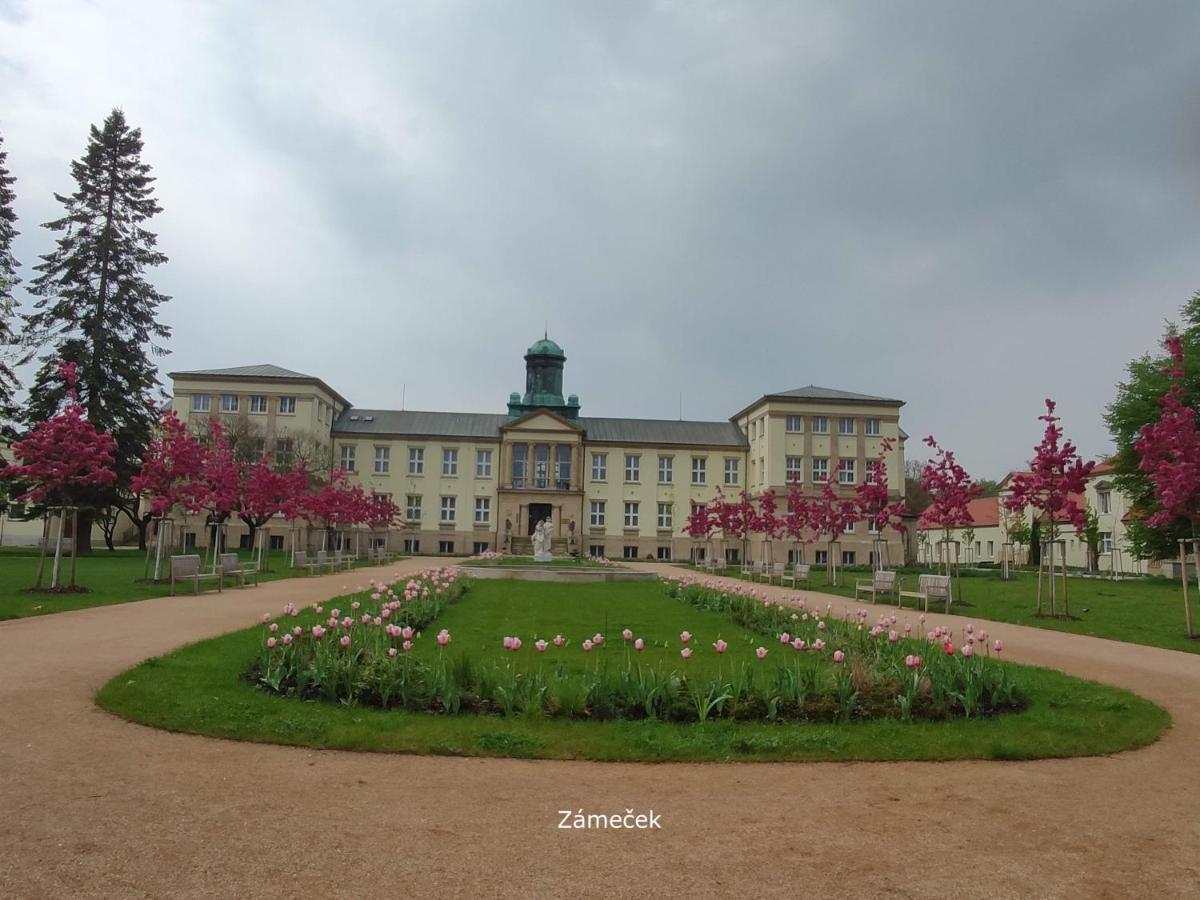Homestay Poděbrady エクステリア 写真