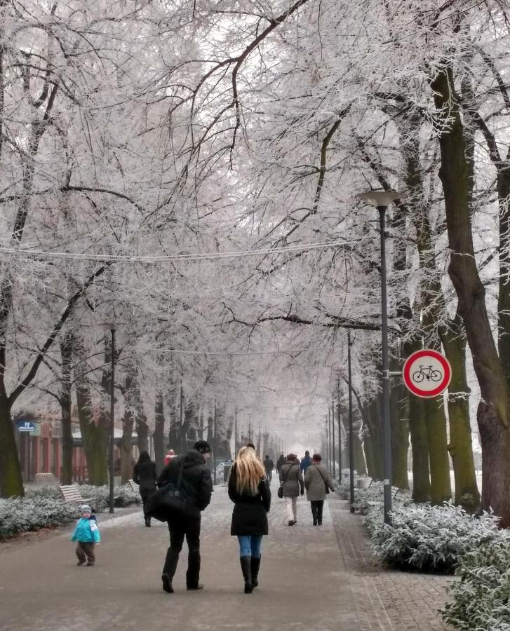 Homestay Poděbrady エクステリア 写真