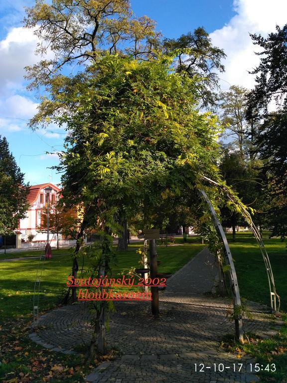 Homestay Poděbrady エクステリア 写真