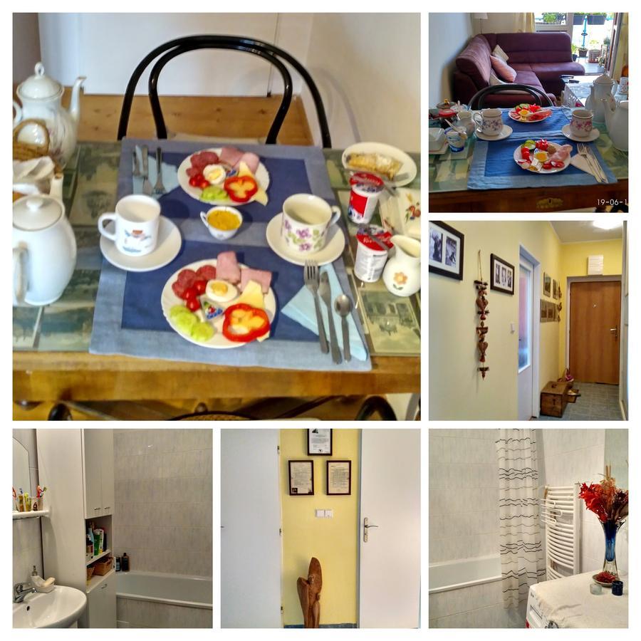 Homestay Poděbrady エクステリア 写真